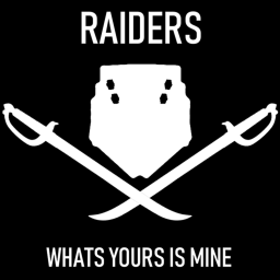Raiders: Top Down Shooter