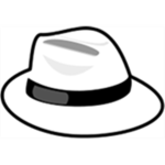 Professional White Hat Hackers