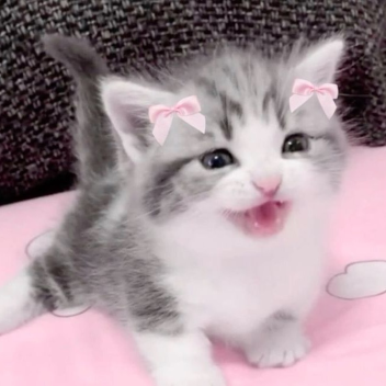 ˚୨୧⋆｡˚ ⋆