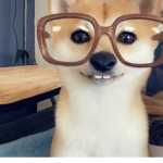 nekocult
