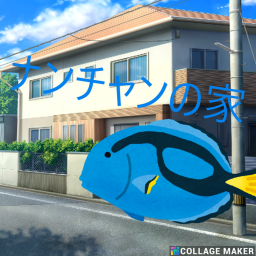 ナンチャンの家
