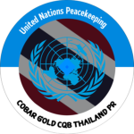[ UNP ] United Nations Peacekeeping force.
