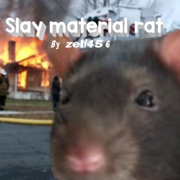 Slay Material Rat 🐀