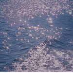 Oceans Games