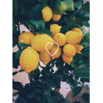 lovely lemons