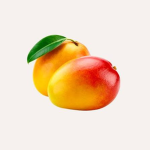 Estudio Mango