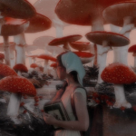 mush land