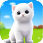 Kitty23