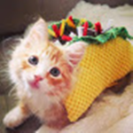 TacoTeam swedish