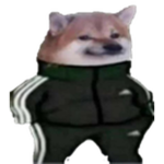 vee'd