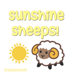 Sunshine Sheep’s