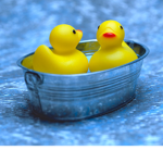 duckies:D