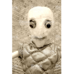 Pallimort
