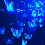 - Butterflies Clothing -