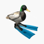 The Real Duck Games