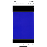 BLUE GANG MUST BE BLUE