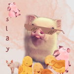 Bobax.Squad