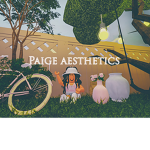 Paige aesthetics