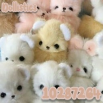 Dollistics