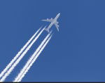 Aviation Skys