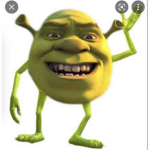 Aesthetic Winter Honey