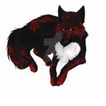 shadow wolves (and more)