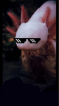 kings have been recovered. Of the axolotl.