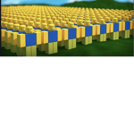 NOOB Army OOF