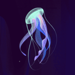 Jellywave Productions