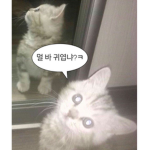 읁애 그룹