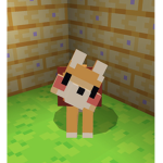 A Doge