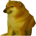 doodo Studios