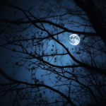 SE Blue Moon