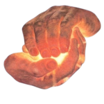 feeldasun