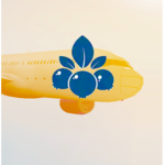 BlueBerry Airways
