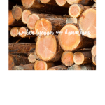 Lumber Tycoon 2 Donation