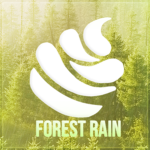 Forest Rain