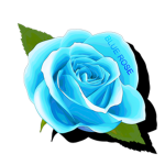 SBO:R Blue Rose