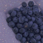 Aesthetic_Blueberry_Squad