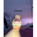 chronicx