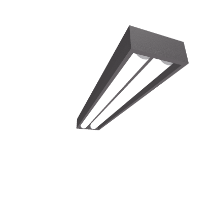 Light