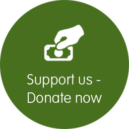 Donate simulator