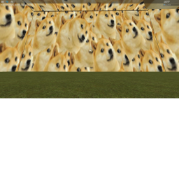 doge empire traning place