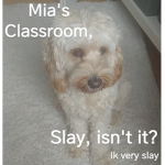 -Mia's Classroom-