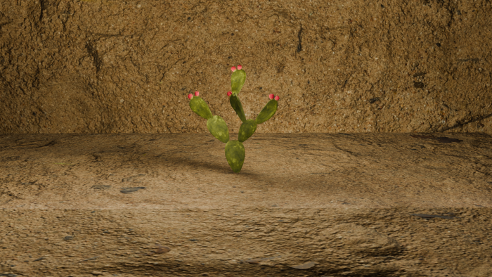 CactusPack preview 2
