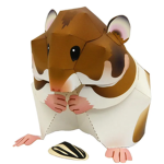 funny hamster ugc
