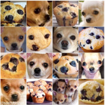######## look like cupcakes
