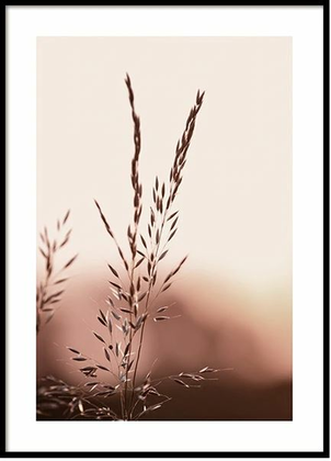 Square Decal