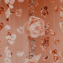 𝓆