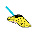 Catlighter group